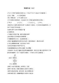 九年级化学人教版 寒假作业（11）