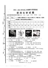 山东省淄博市临淄区（五四制）2022-2023学年九年级上学期期中考试化学试题