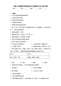 仁爱湘教版九年级下册实验8 金属的性质课时作业