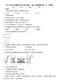 2023年中考化学复习----盐  化肥复习题（一）附答案