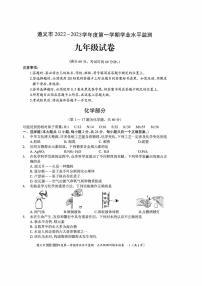 贵州省遵义市2022-2023学年九年级上学期期末学业水平监测化学试卷