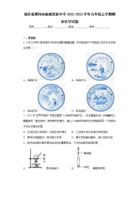 湖北省黄冈市麻城实验中学2022-2023学年九年级上学期期末化学试题(含答案)