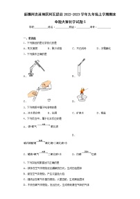 新疆阿克苏地区阿瓦提县2022-2023学年九年级上学期期末命题大赛化学试题5(含答案)