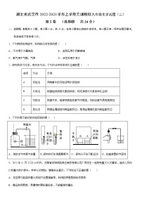 湖北省武汉市2022-2023学年上学期元调模拟九年级化学试题（二）(含答案)