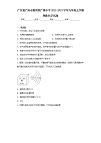 广东省广州市荔湾区广雅中学2022-2023学年九年级上学期期末化学试题(含答案)