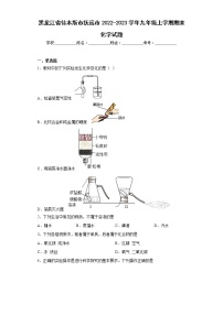 黑龙江省佳木斯市抚远市2022-2023学年九年级上学期期末化学试题 (含答案)