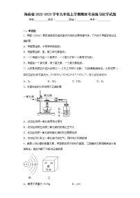 海南省2022-2023学年九年级上学期期末考前练习化学试题-(含答案)