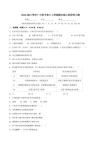 广东省广广州大学附属中学2022-2023学年九年级上学期期末线上测试化学试卷