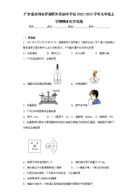 广东省深圳市罗湖区外语初中学校2022-2023学年九年级上学期期末化学试题(含答案)