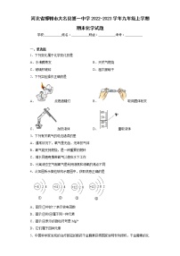 河北省邯郸市大名县第一中学2022-2023学年九年级上学期期末化学试题(含答案)