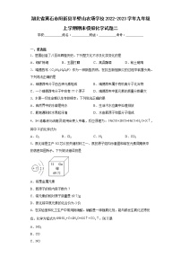 湖北省黄石市阳新县半壁山农场学校2022-2023学年九年级上学期期末模拟化学试题二(含答案)