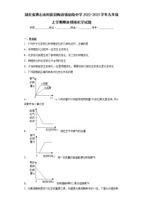 湖北省黄石市阳新县陶港镇初级中学2022-2023学年九年级上学期期末模拟化学试题(含答案)