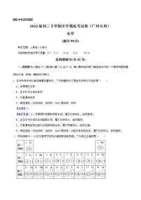 化学-2022届初三下学期开学摸底考试卷（广州专用）