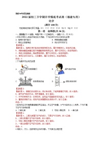 化学-2022届初三下学期开学摸底考试卷（湖北省武汉专用）