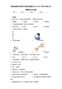 河南省濮阳市实验学校教育集团2022-2023学年九年级上学期期末化学试题(含答案)