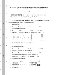 2022-2023学年浙江省杭州市中考化学专项突破仿真模拟试卷（一模二模）含解析