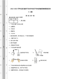 2022-2023学年山东省济宁市中考化学专项突破仿真模拟试卷（一模二模）含解析