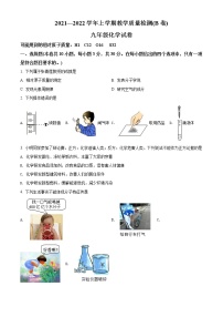 福建省漳州市2021-2022学年九年级上学期期末化学试题