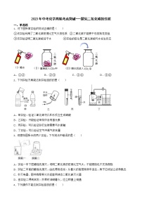 2023年中考化学高频考点突破--探究二氧化碳的性质