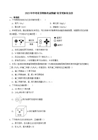 2023年中考化学高频考点突破--化学式和化合价