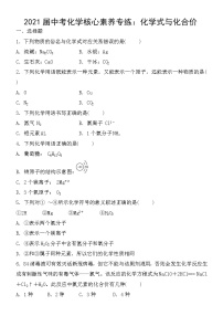 初中化学中考复习 2021届中考化学核心素养专练：化学式与化合价