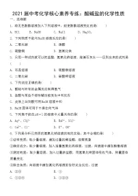 初中化学中考复习 2021届中考化学核心素养专练:酸碱盐的化学性质