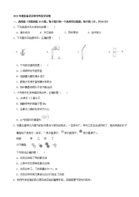 初中化学中考复习 2021年湖北省武汉市中考化学真题（word，解析版）