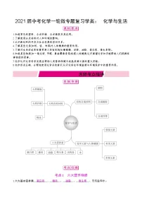 初中化学中考复习 2021届中考化学一轮微专题复习学案：　化学与生活
