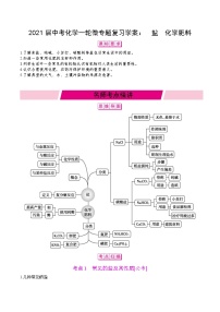 初中化学中考复习 2021届中考化学一轮微专题复习学案：　盐　化学肥料