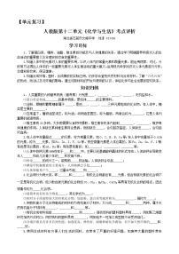 初中化学中考复习 单元复习：人教版第十二单元《化学与生活》考点评析