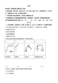 初中化学中考复习 精品解析：贵州省贵阳市2020年中考化学试题（原卷版）