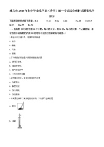 初中化学中考复习 精品解析：贵州省遵义市2020年中考化学试题（原卷版）