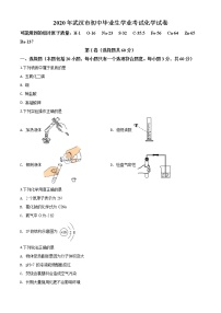 初中化学中考复习 精品解析：湖北省武汉市2020年中考化学试题（原卷版）