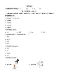 初中化学中考复习 精品解析：辽宁省沈阳市2020年中考化学试题（原卷版）