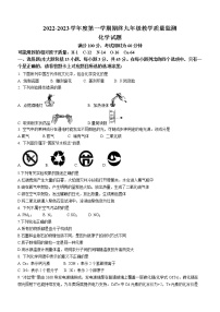 广东省揭阳市普宁市2022-2023学年九年级上学期期末化学试题(含答案)