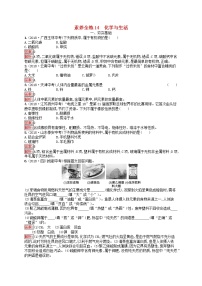 初中化学中考复习 课标通用中考化学总复习素养全练14化学与生活