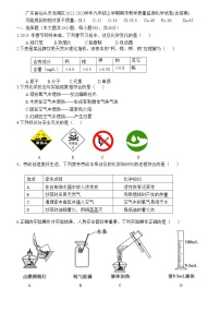 广东省汕头市龙湖区2022-2023学年九年级上学期期末教学质量监测化学试卷(含答案)