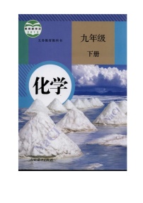 人教版化学九年级下  中考化学模拟试卷7