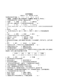 人教版化学九年级下 中考化学模拟试卷13