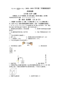 广东省深圳市部分外国语学校2022-2023学年九年级上学期期末联考化学试题