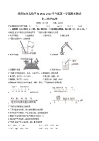 江苏省宿迁市沭阳县如东实验学校2022-2023学年九年级上学期期末化学试题(含答案)