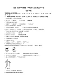 河南省驻马店市正阳县2022-2023学年九年级上学期期末化学试题(含答案)