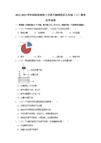 2022-2023学年河南省南阳三中伏牛路西校区九年级（上）期末化学试卷