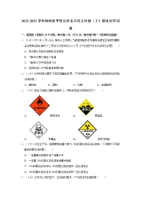 2022-2023学年河南省平顶山市宝丰县九年级（上）期末化学试卷