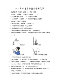 2022年山东省东营市中考化学试卷【含答案】