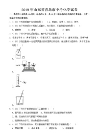 2019年青岛市中考化学试卷【含答案】