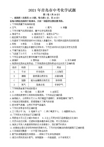 2021年青岛市中考化学试题【无答案】