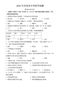 2022年青岛市中考化学试卷【含答案】