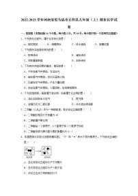 2022-2023学年河南省驻马店市正阳县九年级(上)期末化学试卷