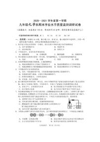 海南省三亚市2020-2021学年九年级上学期期末考试化学试题